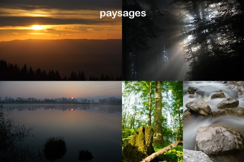 Lot paysages
