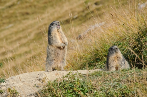 calendrier mural 2025