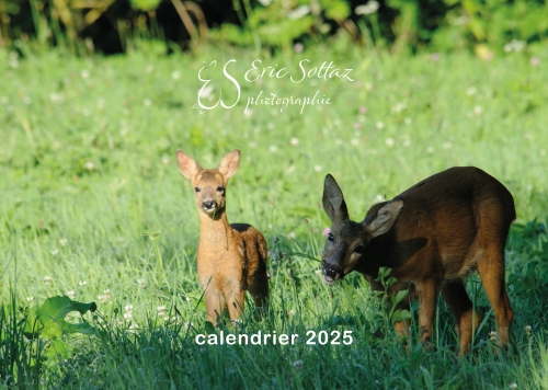 calendrier mural 2025