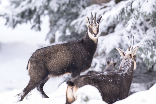 calendrier mural 2025