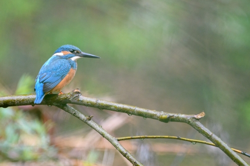 calendrier mural 2025